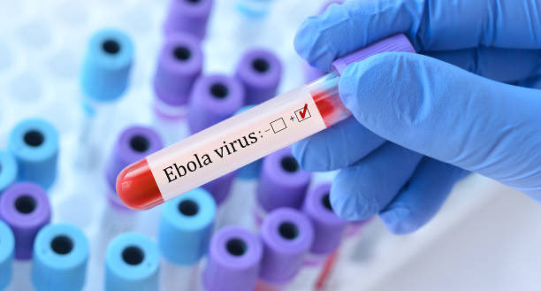 Brasil implementa medidas de emergência contra Ebola em resposta ao aumento de casos na África; saiba mais!