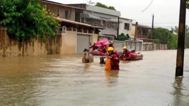 Tempestades devastadoras causam mortes e calamidade em todo o Brasil
