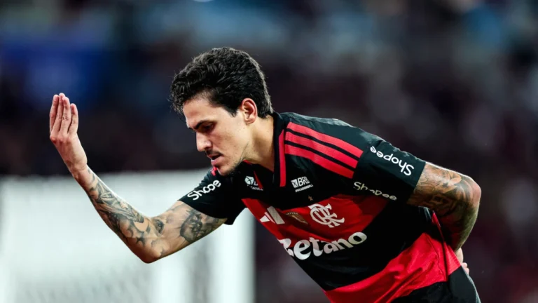 Pedro quebra recordes e realiza uma temporada memorável no Flamengo