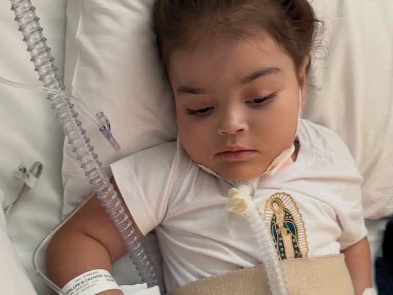 Filha de Juliano Cazarré é hospitalizada em estado crítico e esposa detalha a condição médica