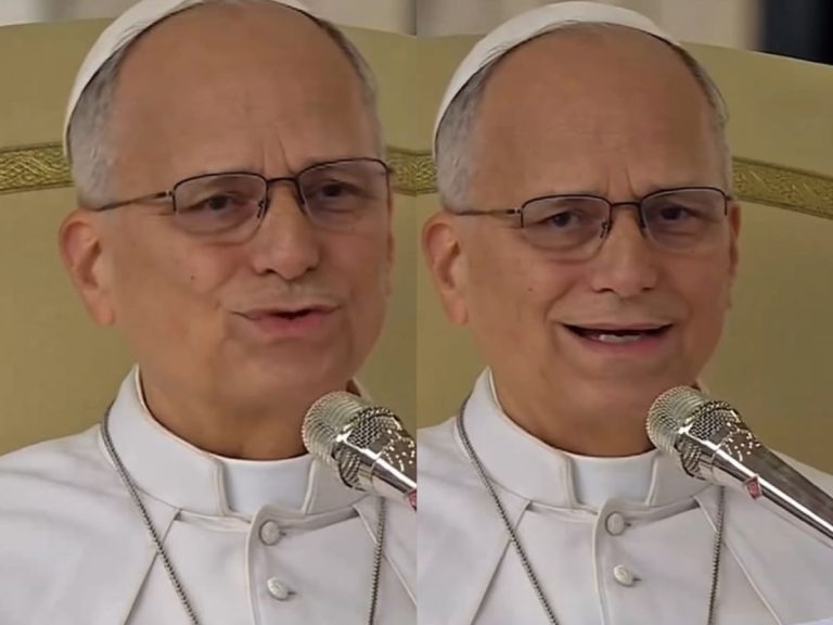 Papa Leão XIV agradece orações em sua primeira audiência pós-cirurgia